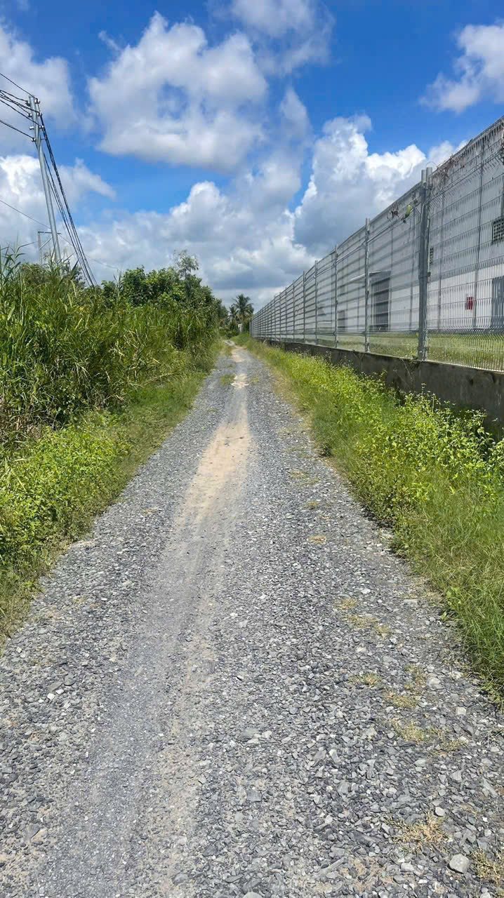 Đất vườn 4536m² xã Lương Hòa, Bến Lức - Giá chỉ 990 triệu, đầu tư sinh lời!