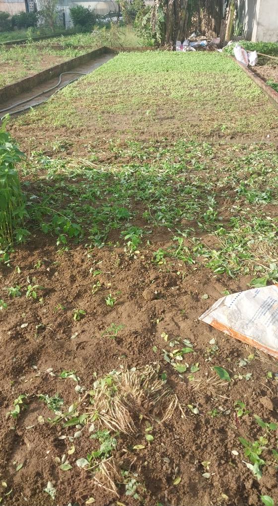 Đất nền chợ Điều, phường Long Bình, Biên Hòa 100m² giá 1.295 tỷ - Đầu tư sinh lời ngay!