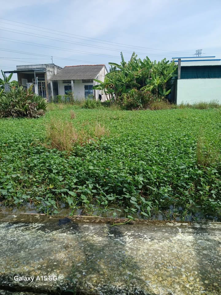 Đất nền 120m² tại Nhựt Chánh, Bến Lức giá 499 triệu - Pháp lý rõ ràng!