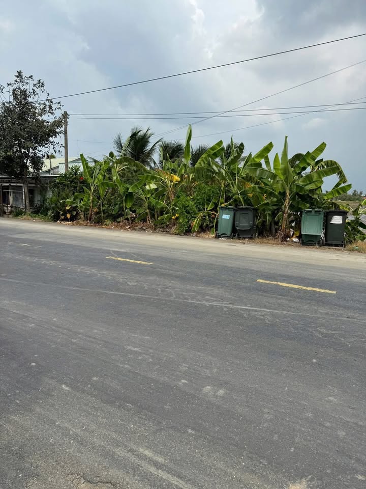 Đất thổ cư mặt tiền đường 832, Tân Bình, Long An 2500m² - Thích hợp kinh doanh