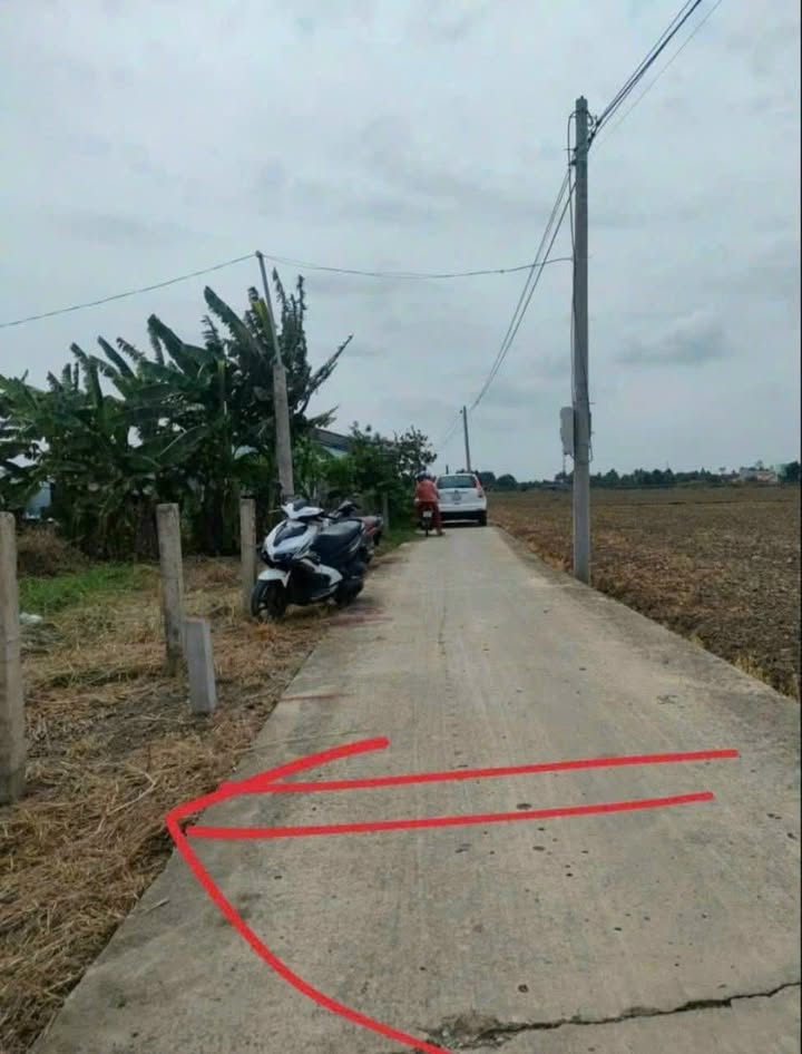 Đất nền 132m² ấp 3 Lạc Tấn, Tân Trụ - Sổ đỏ chính chủ, giá chỉ 430 triệu!