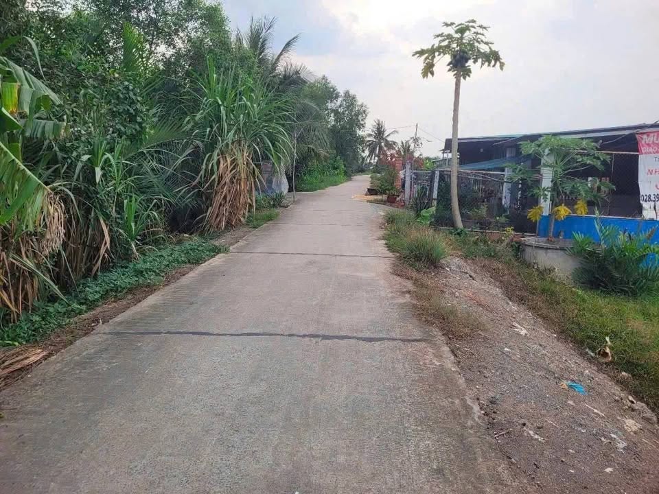 Đất thổ cư 150m² ấp 7 Tân Bửu Bến Lức - Giá chỉ 1.05 tỷ, ô tô quay đầu thoải mái!