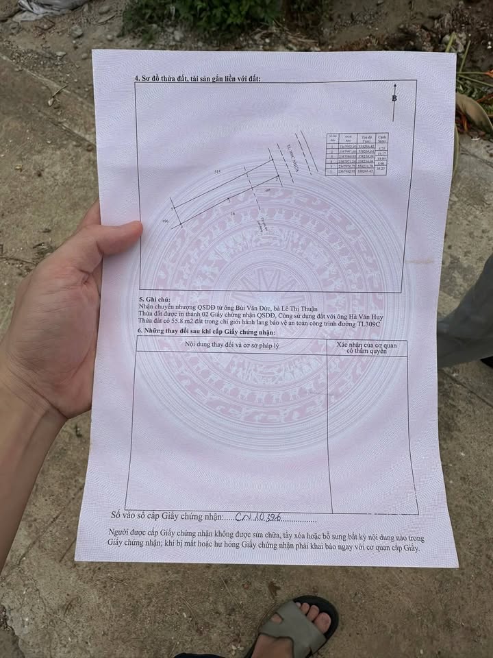 Đất nền 210m² mặt đường TL309C, Tam Quan, Vĩnh Phúc - Khu kinh doanh sầm uất!