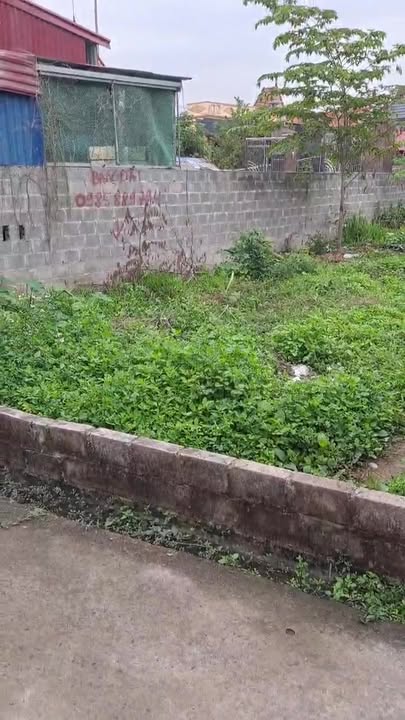 Lô đất Hữu Bằng, Kiến Thụy 74m² giá 690 triệu - Cơ hội đầu tư tuyệt vời!