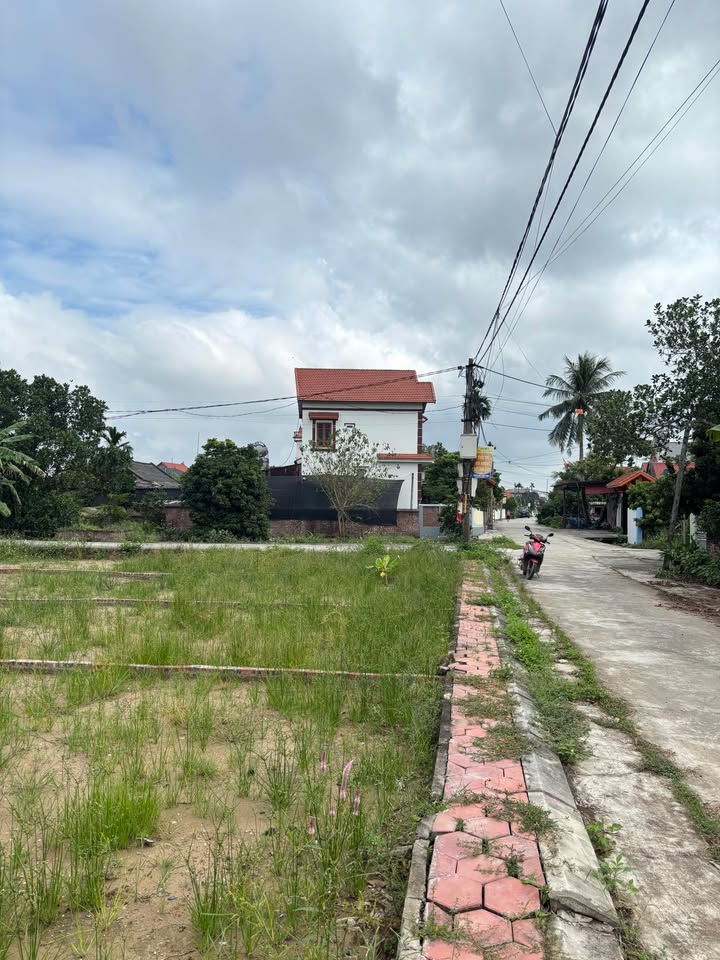 Đất Kim Đính 102m² giá chỉ 500 triệu - Vị trí thuận lợi gần trục đường chính!