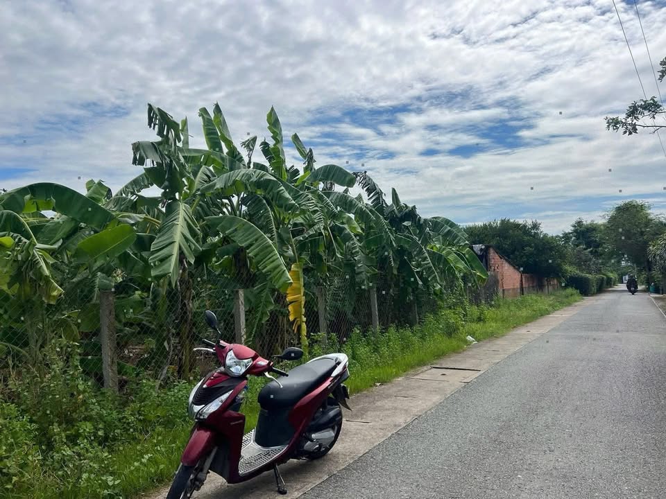 Đất vườn Thạnh Phước, Tân Uyên 621m² giá 5.5 tỷ - Đường nhựa 6m, đầu tư sinh lời!