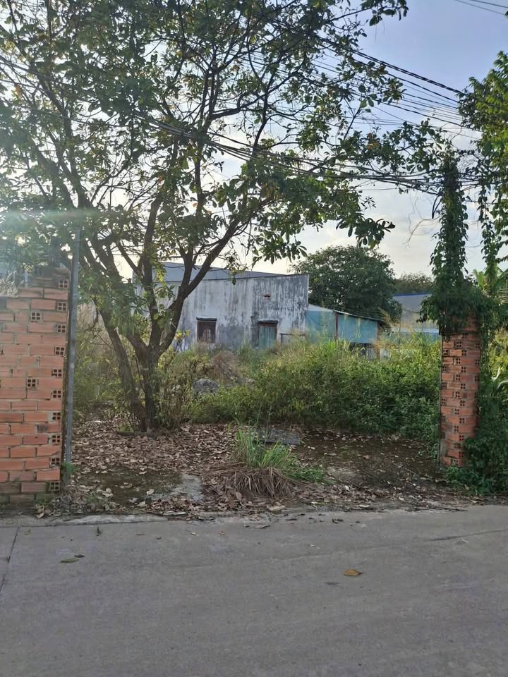 Đất nền Tân Hiệp 127m² giá 1.8 tỷ - Cơ hội đầu tư không thể bỏ lỡ!