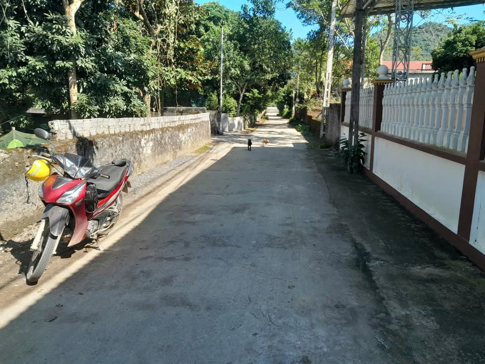 Đất đấu giá 544m² tại xã Cẩm Giang, Cẩm Thủy - Sổ đỏ chính chủ, chỉ 488 triệu