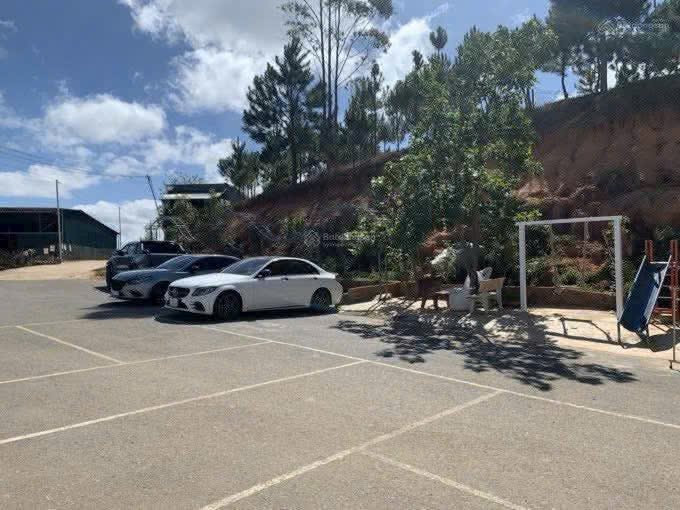 Bán đất tặng homestay Đà Lạt 143m² giá 8.5 tỷ - Đầu tư sinh lời ngay!