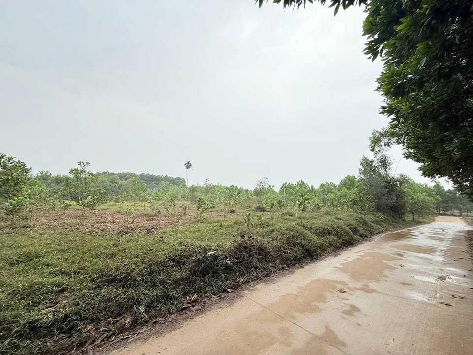 Đất nền 2000m² tại Bắc Sơn, Sóc Sơn chỉ 3 tỷ - Pháp lý rõ ràng, sẵn sàng công chứng!