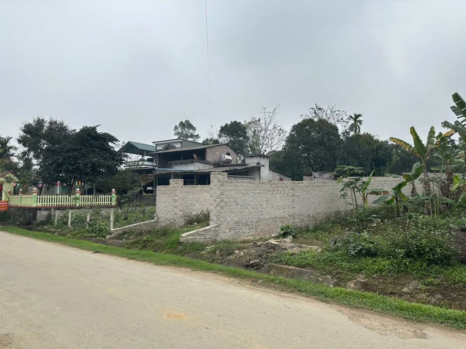 Đất thổ cư 80m² mặt đường Tân Long Châu, Lương Sơn - Giá chỉ 800 triệu!