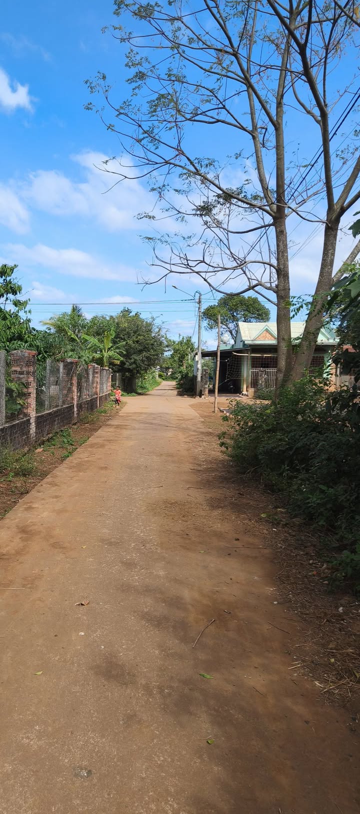 Đất nền An Phú, TP Pleiku 240m² giá thỏa thuận - Nở hậu 6m, cơ hội đầu tư tuyệt vời!