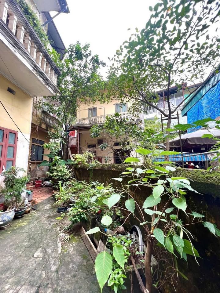 Đất ngõ phố Đội Cấn, Ba Đình 81m² giá 13.85 tỷ - Vị trí đắc địa gần hồ