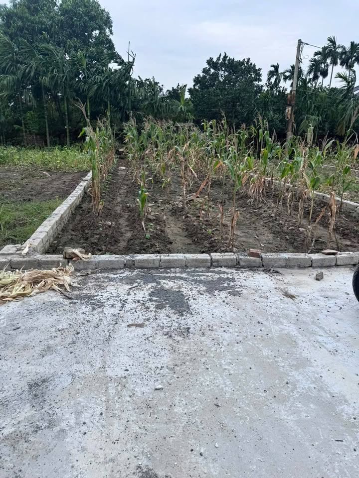 Đất nền Khai Thái, Phú Xuyên 84m² giá 1.8 tỷ - Mặt tiền rộng, ô tô vào tận nơi!