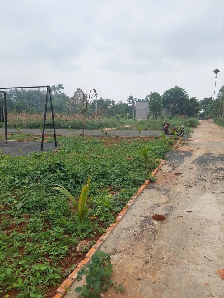 Đất nền Ea Ning, Cư Kuin, Đắk Lắk 3500m² - Sổ đỏ chính chủ, giá tốt!