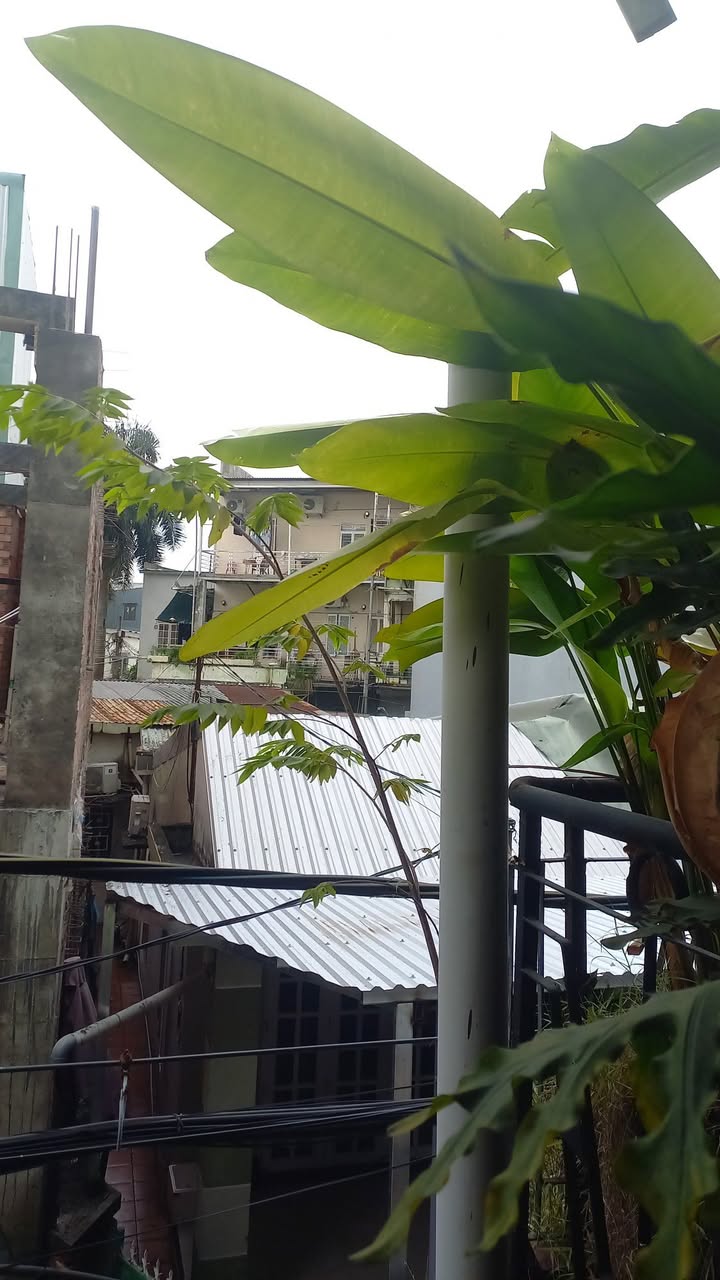 Đất nền tại trung tâm Đà Nẵng 62m² giá 3 tỷ - Đầu tư sinh lời cao!