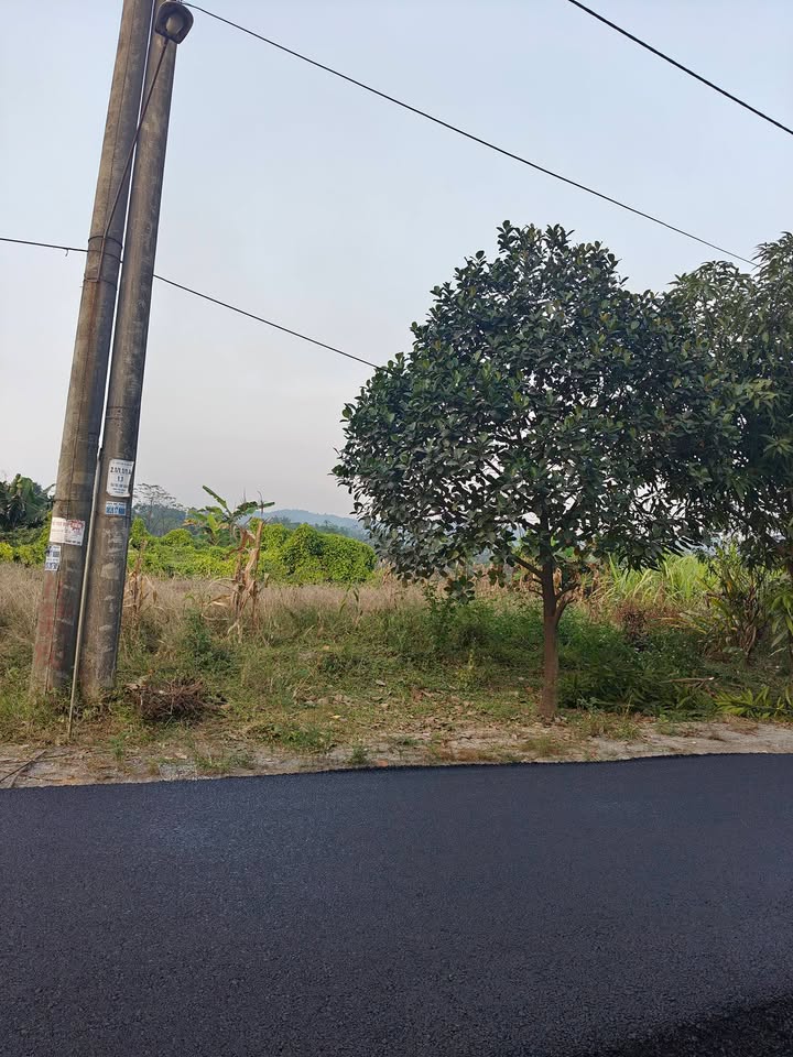 Đất nền Tằng Loỏng, Bảo Thắng, 100m² - Cơ hội đầu tư hấp dẫn!