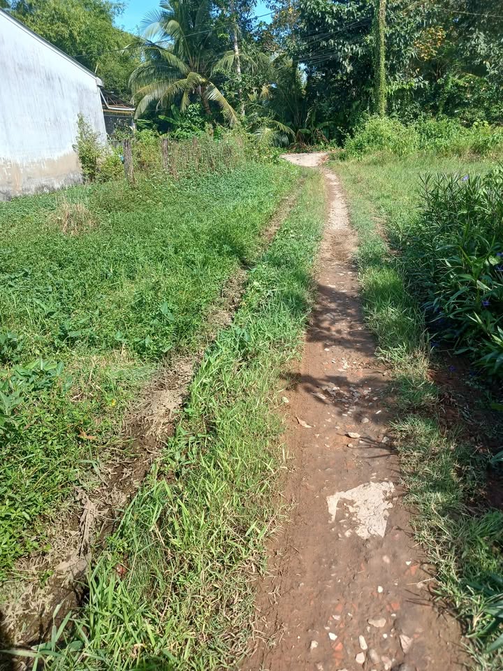 Đất nền ấp Ba Se A, Lương Hòa, Châu Thành 270m² giá 650 triệu - Cơ hội đầu tư tuyệt vời!