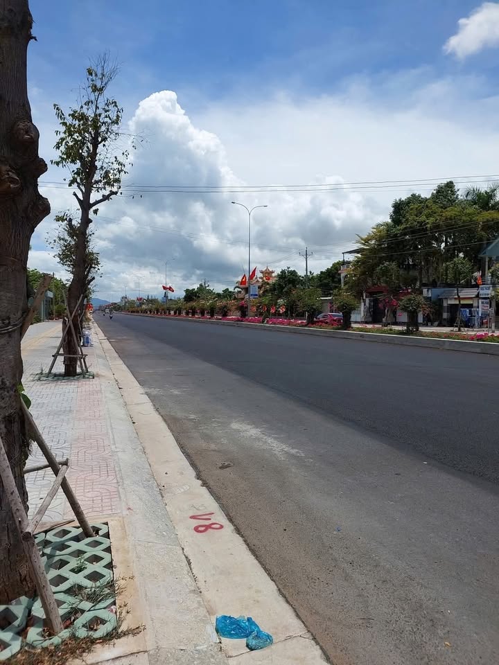 Đất mặt tiền Trường Sơn, Hòa Vang 70m² giá 2.3 tỷ - Đầu tư sinh lời ngay!