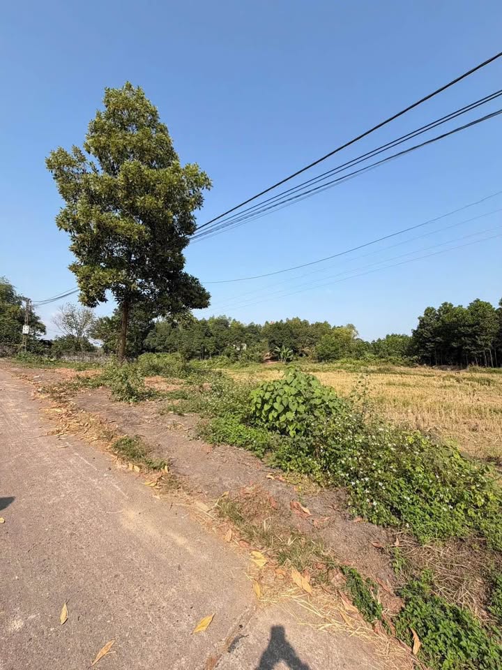 Đất nền Tích Lương Thái Nguyên 250m² giá 200 triệu - Gần trường Đại học Công nghiệp!