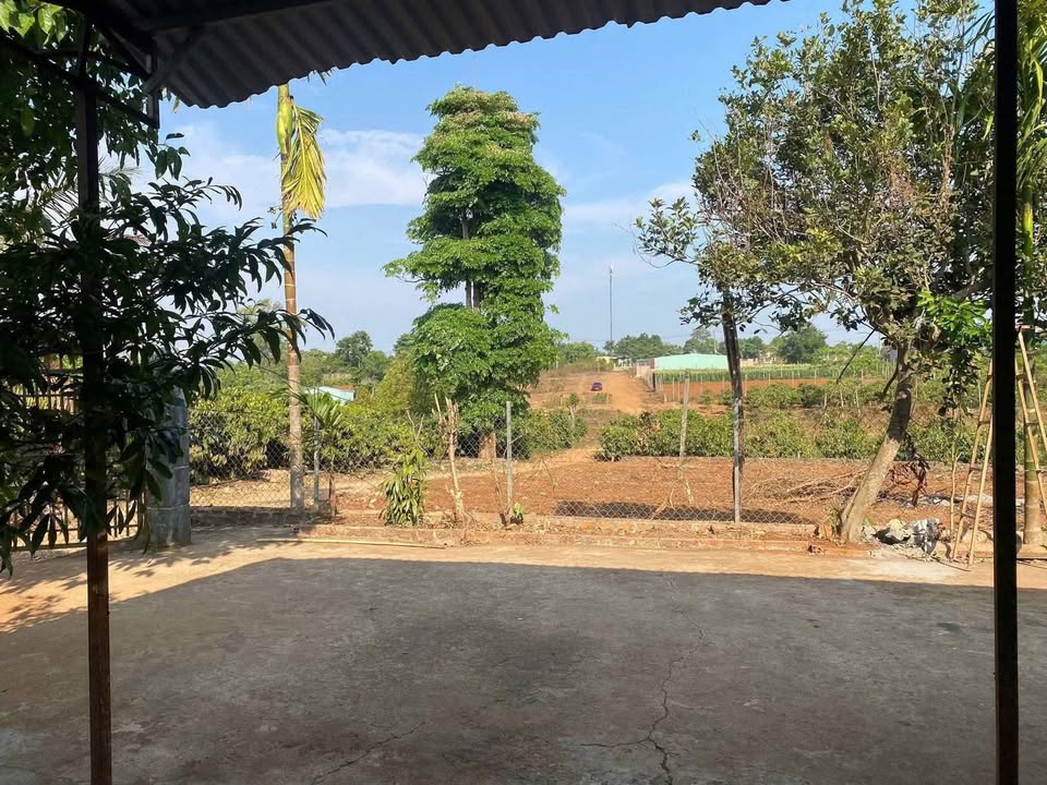 Đất nông nghiệp Hẻm Lý Chính Thắng, Pleiku 900m² - Giá chỉ 960 triệu