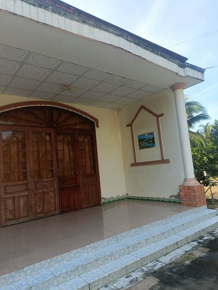 Đất thổ cư 2500m² tại ấp An Quới, Chợ Gạo - Giá chỉ 1.5 tỷ, cơ hội không thể bỏ qua!