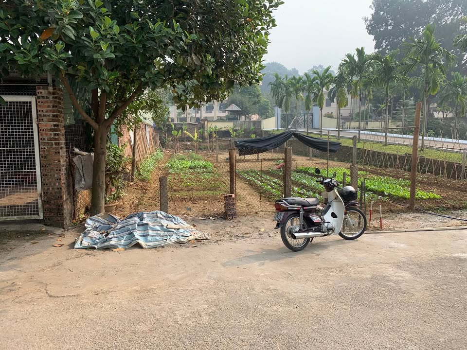 Đất chính chủ khu 1A Vân Phú, Việt Trì 109m² giá 2 tỷ - Kinh doanh thuận lợi!