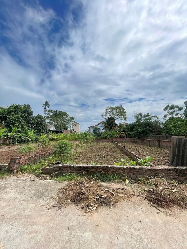 Đất Hồng Hải, Minh Nông, Việt Trì 99,2m² giá 2 tỷ - Đường ô tô tránh nhau