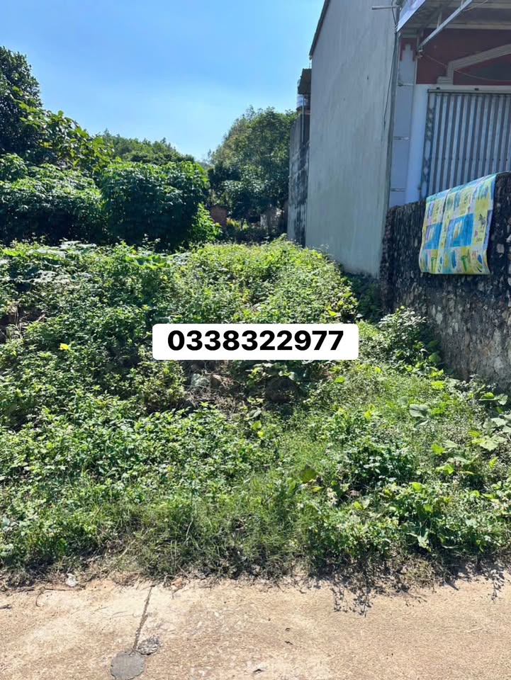 Đất thổ cư tại thôn Hà Tú, xã Chu Điện, Lục Nam - 125m² giá 1 tỷ - Gần đường vành đai 30m!