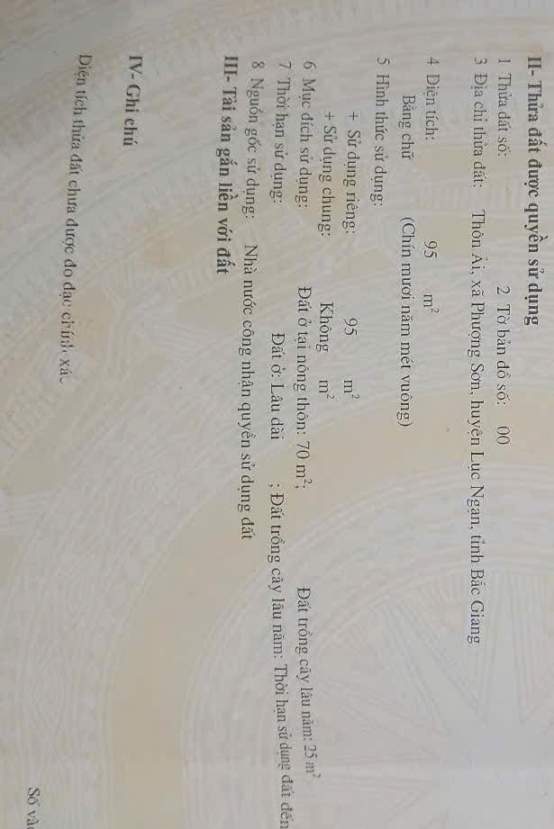 Đất mặt tiền QL31 Phượng Sơn Lục Ngạn 95m² - Cơ hội đầu tư sinh lời!