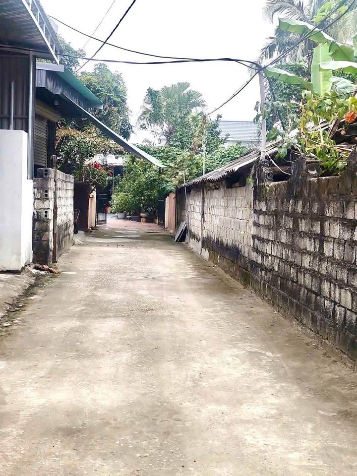 Đất thổ cư Quảng Phú, Thanh Chương 100m² giá 1.3 tỷ - Tiện ích đầy đủ!