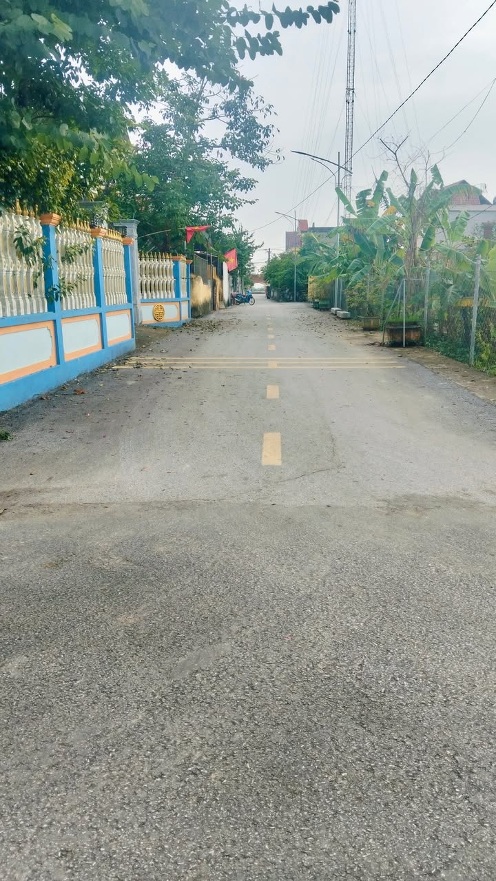 Đất nền thổ cư tại thôn Nhân Trạch, xã Hoằng Đạo - Giá chỉ từ 8xx triệu!