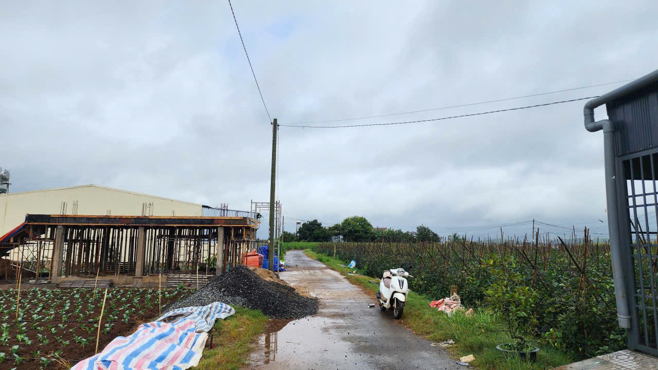 Đất thổ cư Tân Hội, Đức Trọng 115m² giá 955 triệu - Cơ hội đầu tư tuyệt vời!