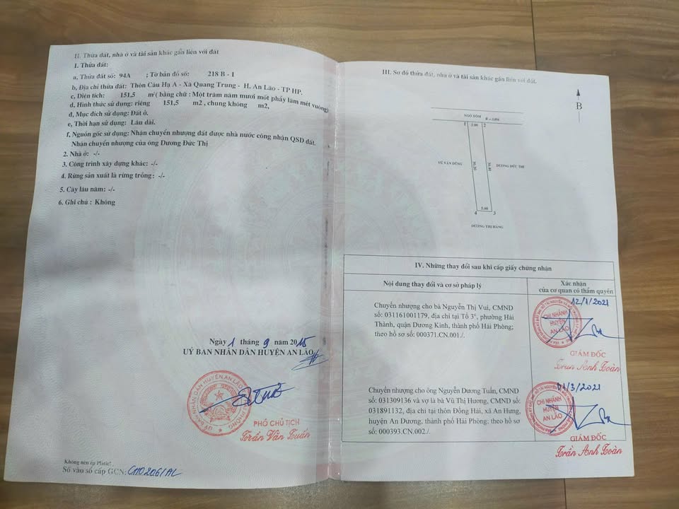 Bán lô đất Câu Hạ A, Quang Trung, An Lão 151,5m² - Đầu tư sinh lời tuyệt vời!