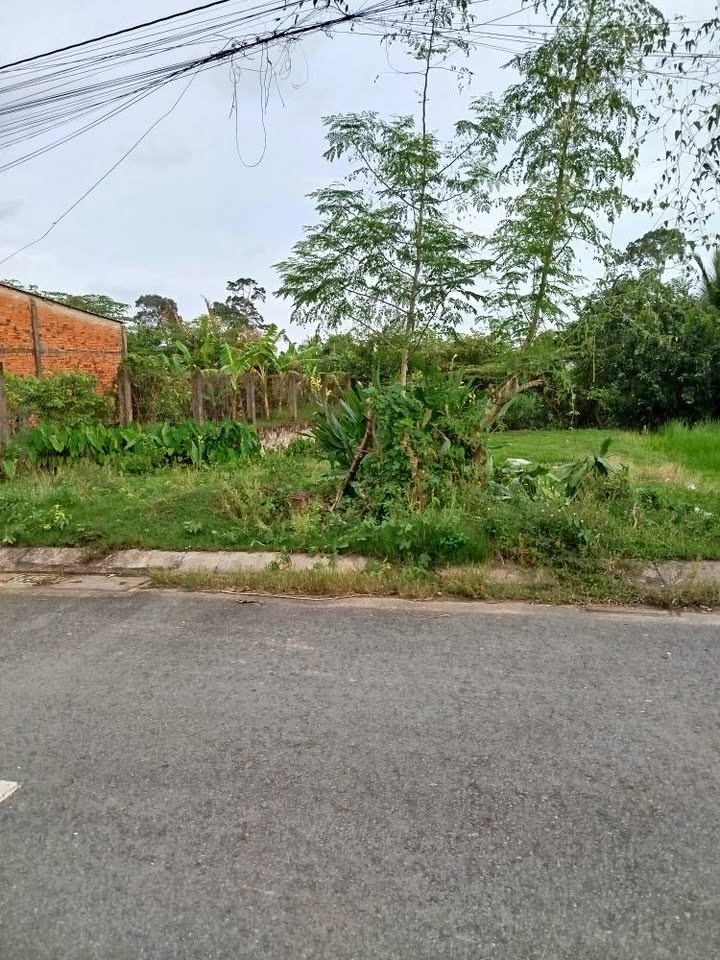 Đất mặt tiền Lâm Sắc Trà Vinh 126m² giá 750 triệu - Tiềm năng sinh lời cao!