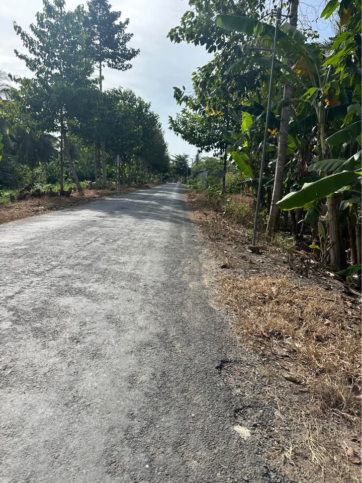 Đất nền Tân Hoà Vĩnh Long 675m² giá 1.5 tỷ - Nhà cấp 4 mới xây sẵn!