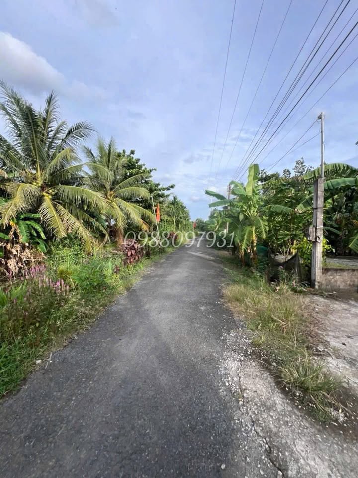 Đất nền mặt tiền đường nhựa Tân Bình, Càng Long 288m² giá chỉ 400 triệu - Đầu tư sinh lời ngay!