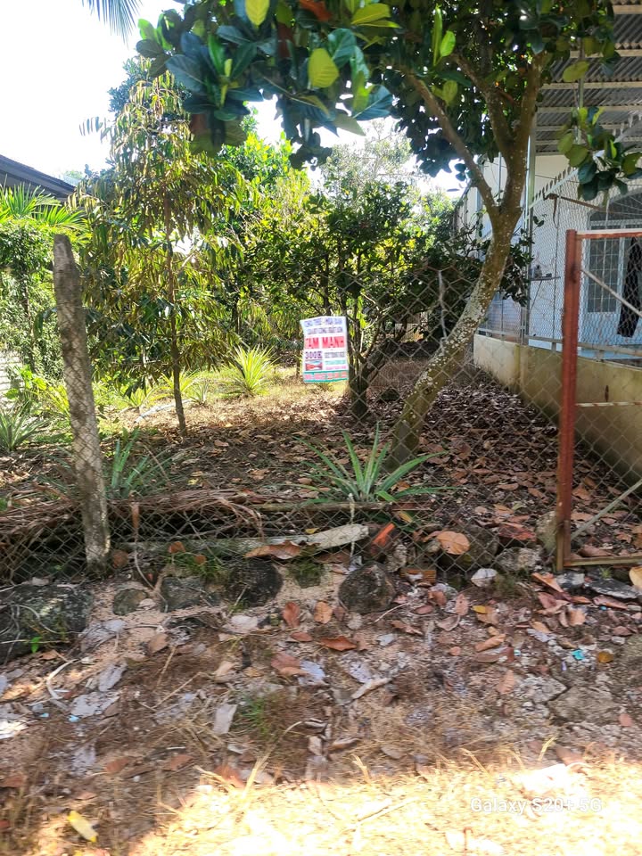 Đất nền Bàu Trâm Long Khánh 125m² giá thỏa thuận - Kinh doanh đắc địa mặt tiền đường lớn!