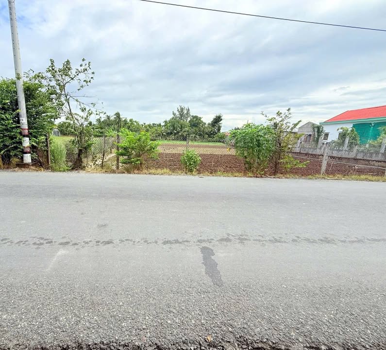 Đất thổ cư 150m² mặt tiền đường nhựa Phước Vân - Cần Đước, giá 1.6 tỷ - Cơ hội đầu tư tuyệt vời!