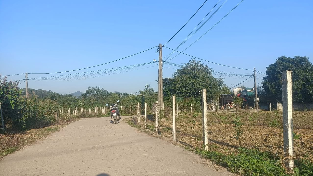 Đất nền đẹp tại xã Trung Môn, Tuyên Quang 320m² giá 1 tỷ - Pháp lý rõ ràng, đầu tư sinh lời!