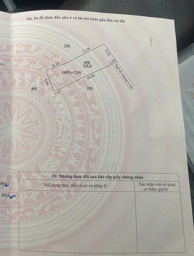 Đất nền Phù Lưu 2, Đông Quang, 125m² - Phong thủy tốt, đầu tư sinh lời!