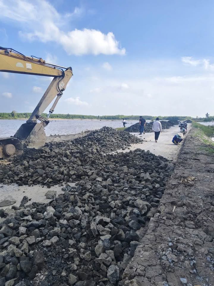 Đất Farm 65.000m² mặt tiền huyện lộ 8m - Phù hợp trang trại và nhà xưởng!