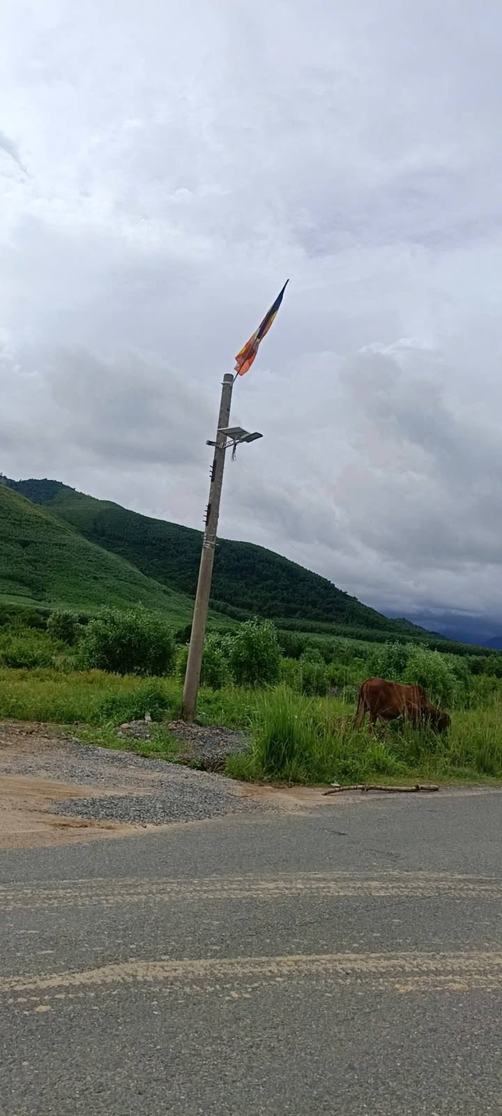 Đất nông nghiệp tại Ninh Tây, Khánh Hòa 7ha giá 4.2 tỷ - Tiềm năng phát triển lớn!