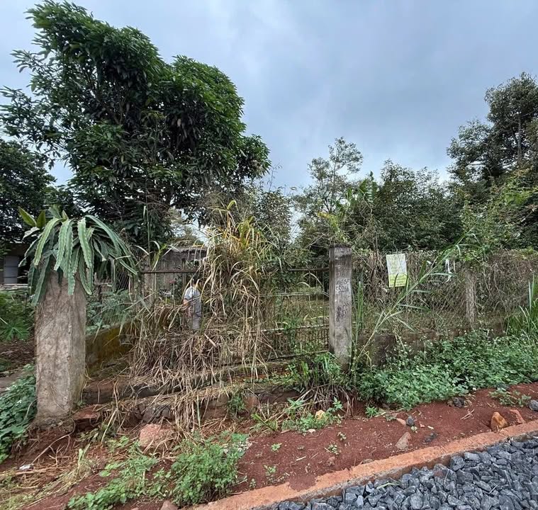 Đất nền đường Âu Cơ, phường Buôn Hồ, Đắk Lắk 583m² - Giá chỉ 3.25 tỷ!