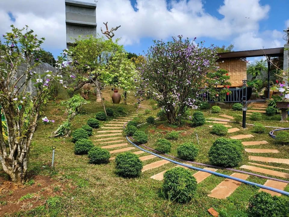 Đất Mạc Đĩnh Chi 1224m² giá 7.399 tỷ - Tặng nhà Yến 4 tầng thu nhập cao!