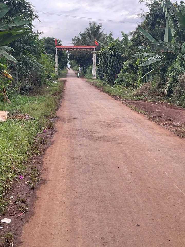 Đất nền Cư Bao Buôn Hồ 300m² giá 420 triệu - Kinh doanh sầm uất