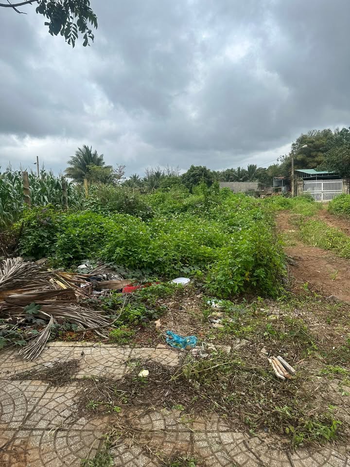 Đất thổ cư Phước An 145m² giá 1 tỷ - Vị trí đẹp, giao thông thuận lợi!