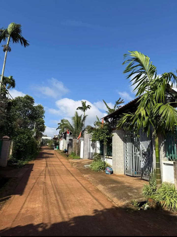 Đất nền Pơng Drang 252.4m² giá 2.17 tỷ - Mở rộng đường 8m thuận lợi!