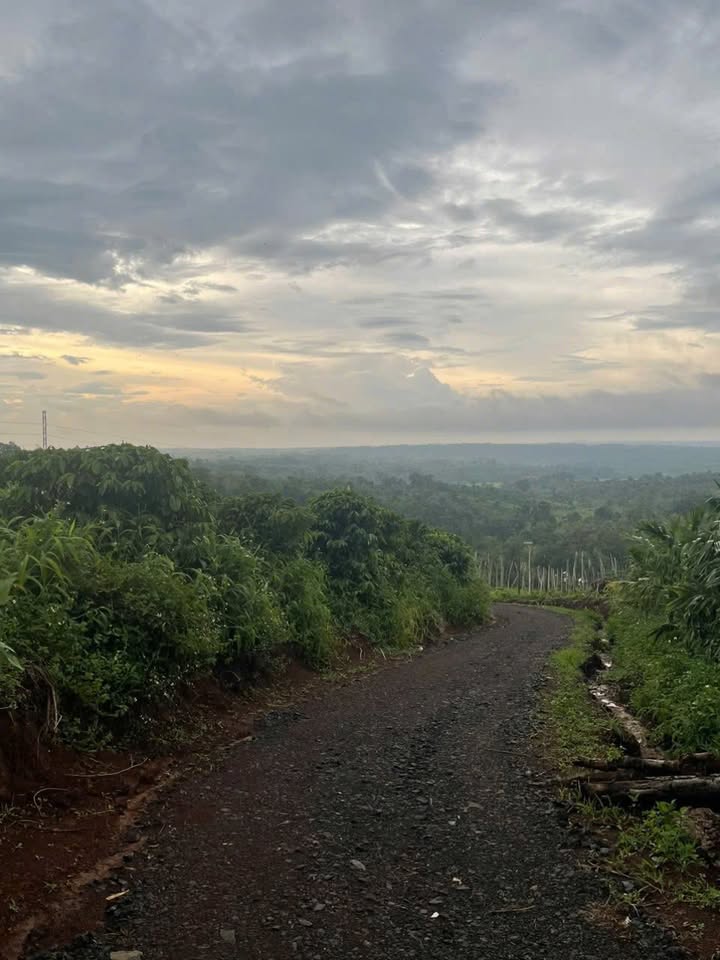 Đất nền 500m² tại phường Cư Bao, Buôn Hồ - Giá chỉ 230 triệu, đầu tư sinh lời!