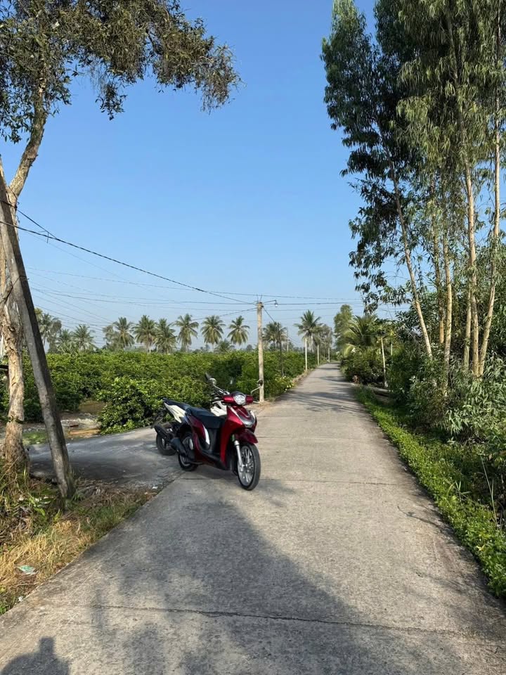 Đất vườn Lương Hòa Bến Lức 3800m² giá 850 triệu - Sổ hồng chính chủ, ô tô vào tận nơi!